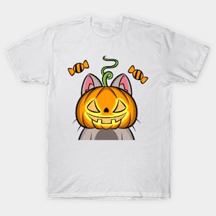 Halloween Costume Cats: Pumkin T-Shirt